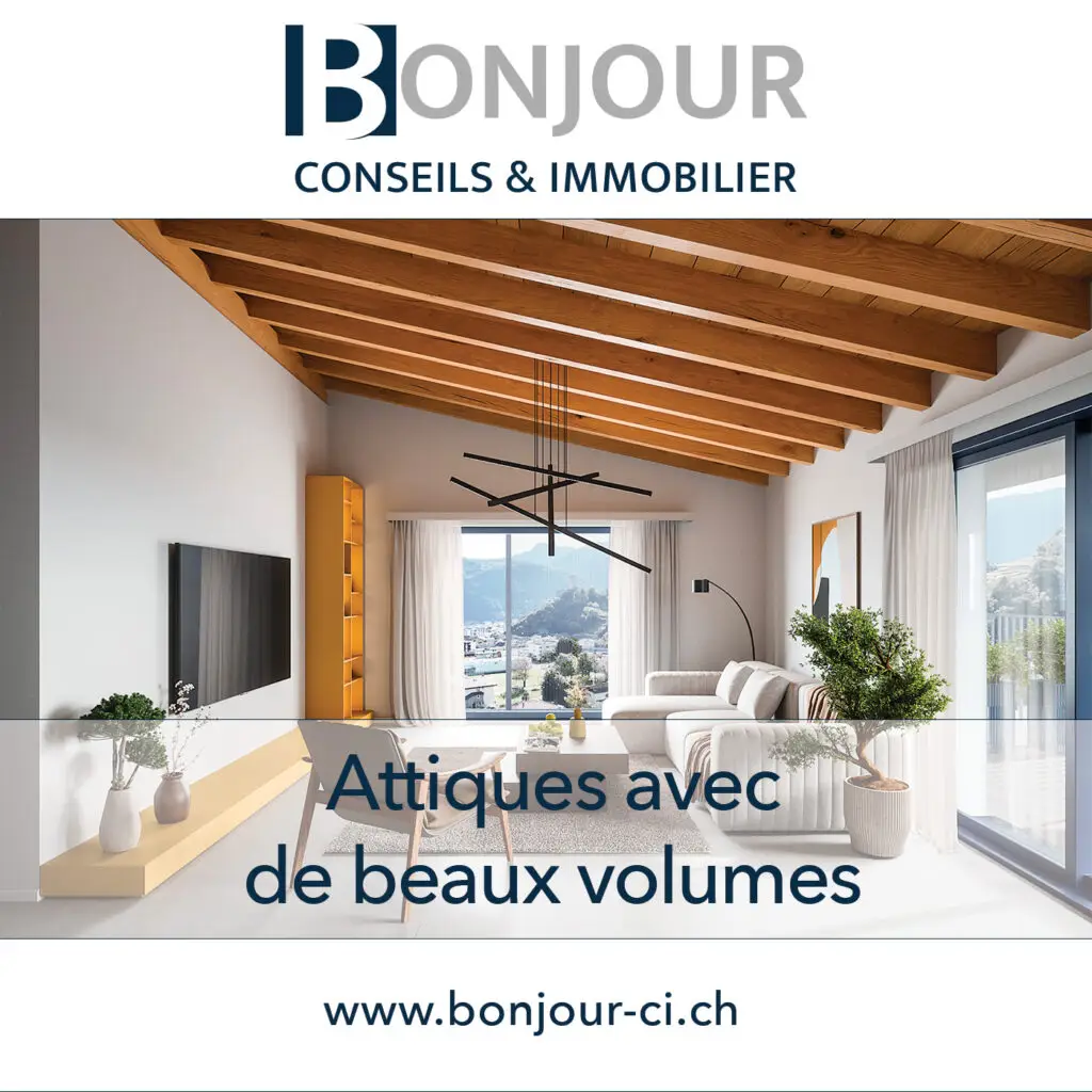 Immeuble La Praille - Attique (Vue 3D)