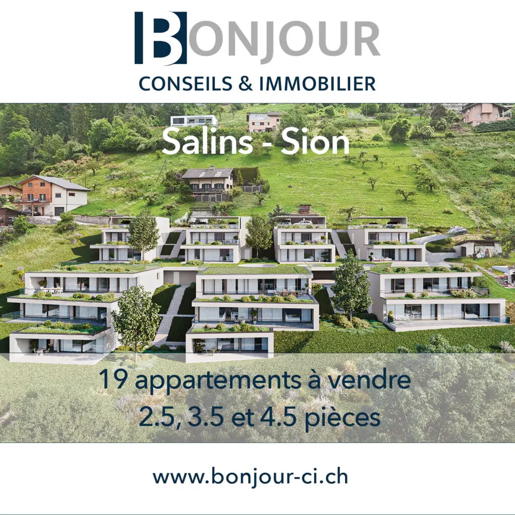 Salins - Sion - Résidence SAORA - 19 appartements à vendre